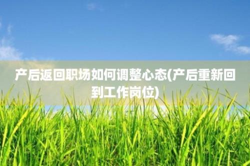 产后返回职场如何调整心态(产后重新回到工作岗位)