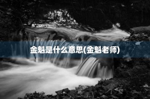 金魁是什么意思(金魁老师)