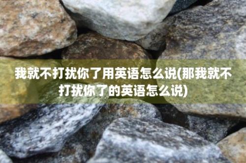 我就不打扰你了用英语怎么说(那我就不打扰你了的英语怎么说)