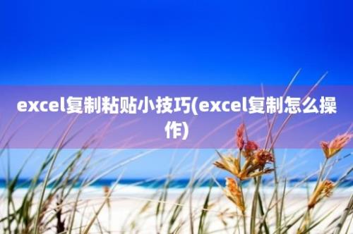 excel复制粘贴小技巧(excel复制怎么操作)