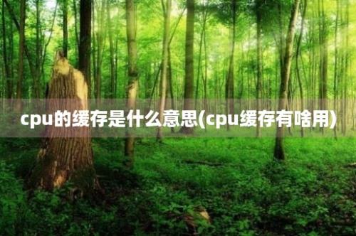 cpu的缓存是什么意思(cpu缓存有啥用)