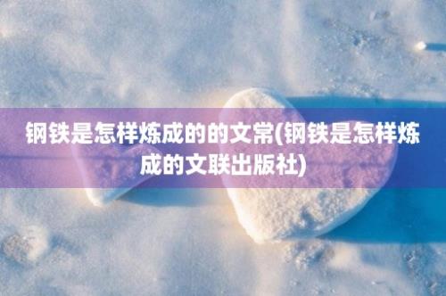 钢铁是怎样炼成的的文常(钢铁是怎样炼成的文联出版社)