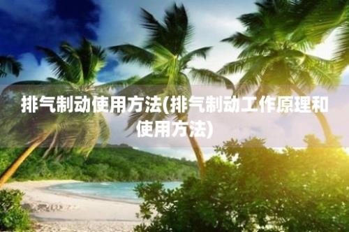 排气制动使用方法(排气制动工作原理和使用方法)