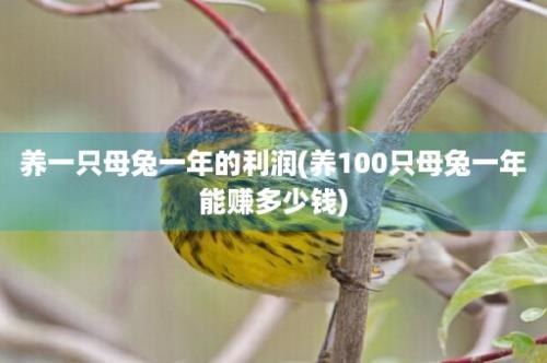 养一只母兔一年的利润(养100只母兔一年能赚多少钱)