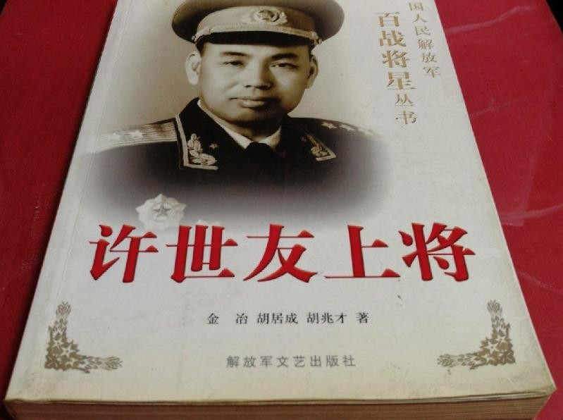 《许世友上将》讲的是什么