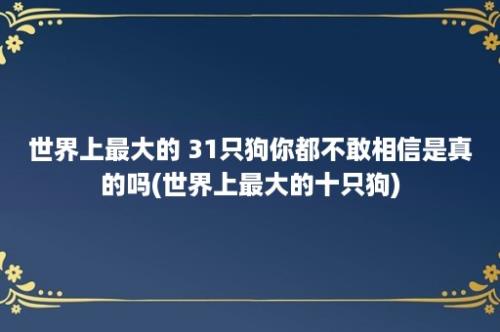 世界上最大的 31只狗你都不敢相信是真的吗(世界上最大的十只狗)