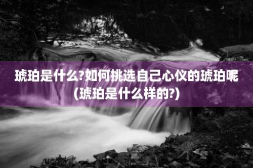 琥珀是什么?如何挑选自己心仪的琥珀呢(琥珀是什么样的?)