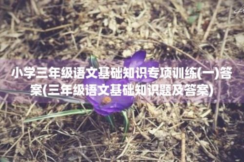 小学三年级语文基础知识专项训练(一)答案(三年级语文基础知识题及答案)