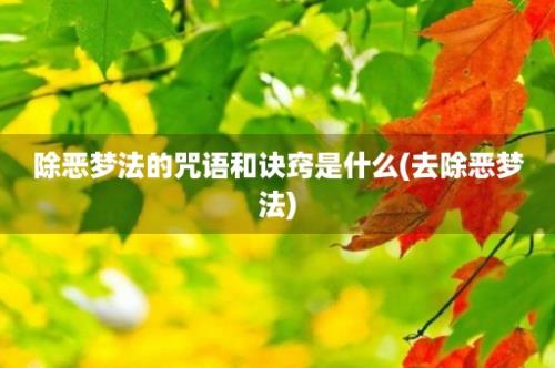 除恶梦法的咒语和诀窍是什么(去除恶梦法)