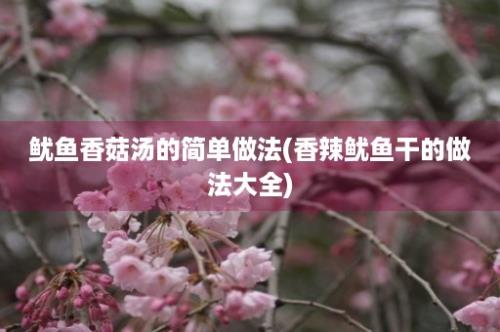 鱿鱼香菇汤的简单做法(香辣鱿鱼干的做法大全)