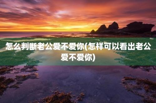 怎么判断老公爱不爱你(怎样可以看出老公爱不爱你)