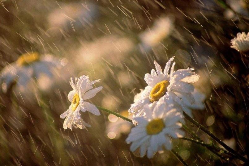 梅雨季节