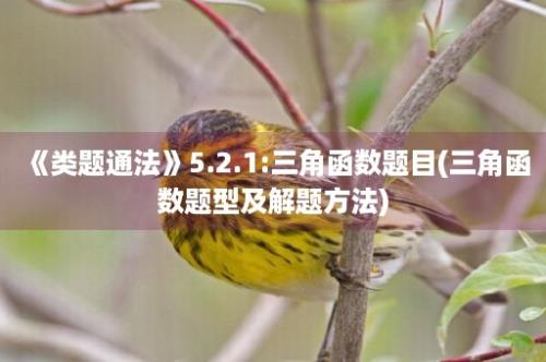 《类题通法》5.2.1:三角函数题目(三角函数题型及解题方法)