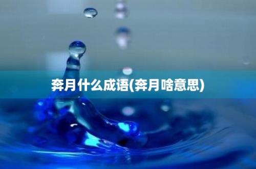 奔月什么成语(奔月啥意思)