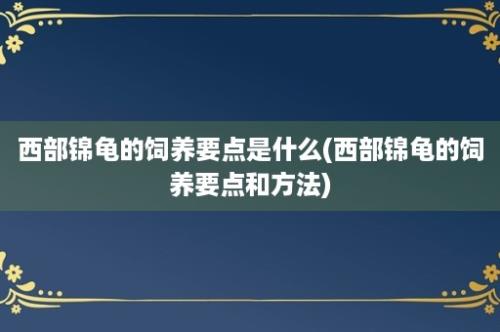 西部锦龟的饲养要点是什么(西部锦龟的饲养要点和方法)