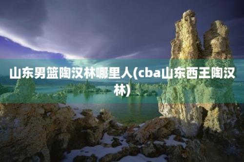 山东男篮陶汉林哪里人(cba山东西王陶汉林)