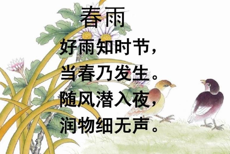 好雨知时节当春乃发生的意思是什么