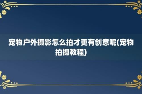 宠物户外摄影怎么拍才更有创意呢(宠物拍摄教程)