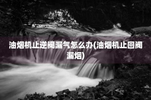 油烟机止逆阀漏气怎么办(油烟机止回阀漏烟)