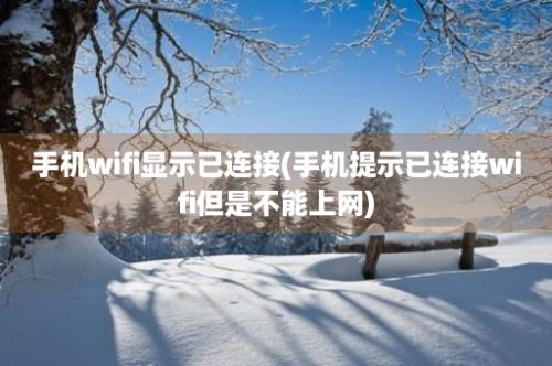 手机wifi显示已连接(手机提示已连接wifi但是不能上网)