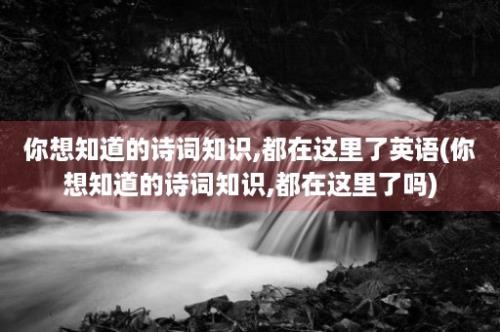 你想知道的诗词知识,都在这里了英语(你想知道的诗词知识,都在这里了吗)