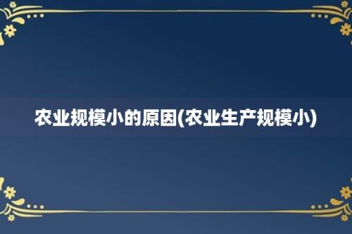 农业规模小的原因(农业生产规模小)