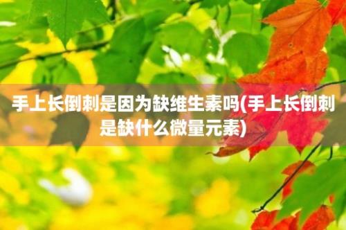 手上长倒刺是因为缺维生素吗(手上长倒刺是缺什么微量元素)