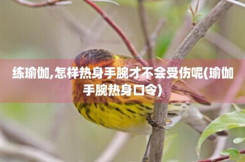 练瑜伽,怎样热身手腕才不会受伤呢(瑜伽手腕热身口令)