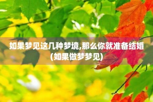 如果梦见这几种梦境,那么你就准备结婚(如果做梦梦见)