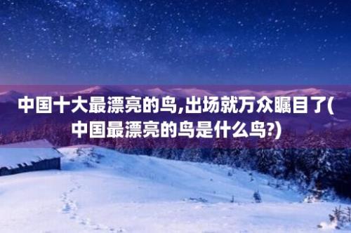 中国十大最漂亮的鸟,出场就万众瞩目了(中国最漂亮的鸟是什么鸟?)