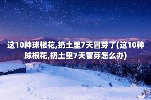 这10种球根花,扔土里7天冒芽了(这10种球根花,扔土里7天冒芽怎么办)