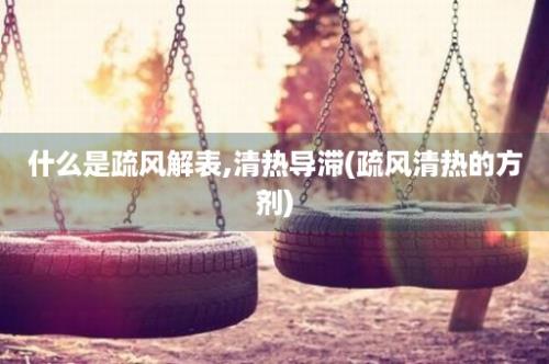 什么是疏风解表,清热导滞(疏风清热的方剂)