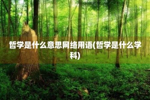 哲学是什么意思网络用语(哲学是什么学科)