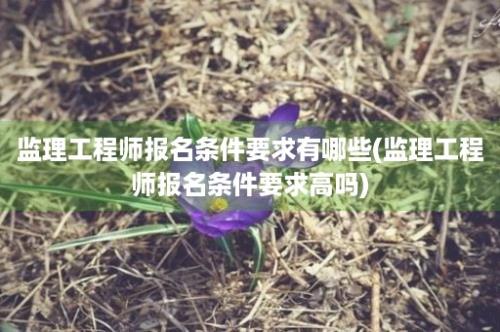 监理工程师报名条件要求有哪些(监理工程师报名条件要求高吗)