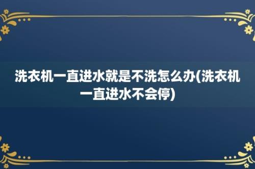 洗衣机一直进水就是不洗怎么办(洗衣机一直进水不会停)