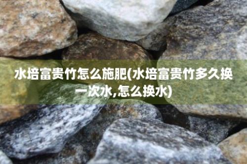 水培富贵竹怎么施肥(水培富贵竹多久换一次水,怎么换水)