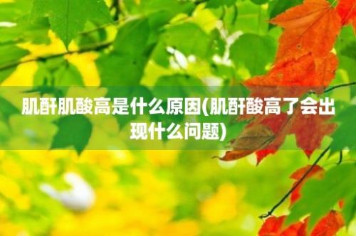 肌酐肌酸高是什么原因(肌酐酸高了会出现什么问题)