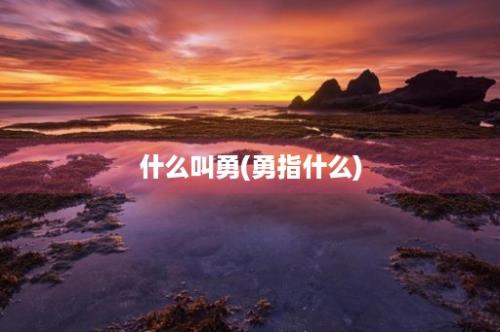 什么叫勇(勇指什么)