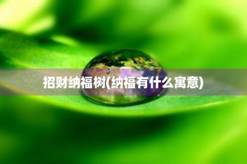 招财纳福树(纳福有什么寓意)