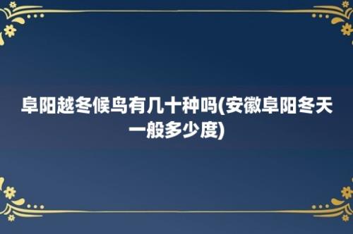 阜阳越冬候鸟有几十种吗(安徽阜阳冬天一般多少度)