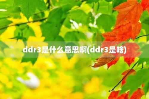 ddr3是什么意思啊(ddr3是啥)