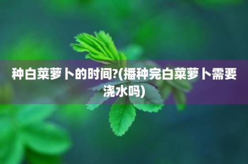 种白菜萝卜的时间?(播种完白菜萝卜需要浇水吗)