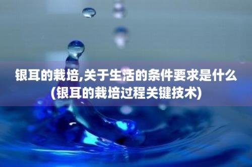 银耳的栽培,关于生活的条件要求是什么(银耳的栽培过程关键技术)