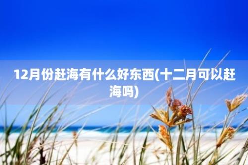 12月份赶海有什么好东西(十二月可以赶海吗)