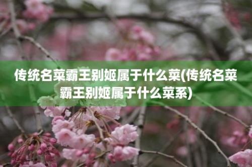 传统名菜霸王别姬属于什么菜(传统名菜霸王别姬属于什么菜系)