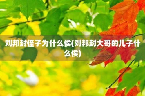 刘邦封侄子为什么侯(刘邦封大哥的儿子什么侯)