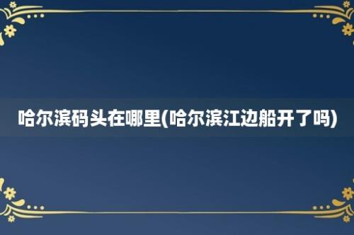 哈尔滨码头在哪里(哈尔滨江边船开了吗)