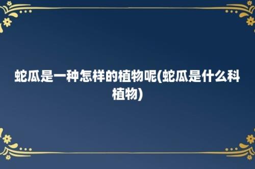 蛇瓜是一种怎样的植物呢(蛇瓜是什么科植物)