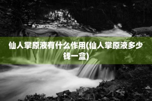 仙人掌原液有什么作用(仙人掌原液多少钱一盒)