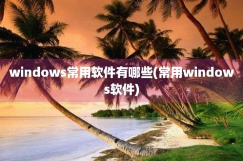 windows常用软件有哪些(常用windows软件)